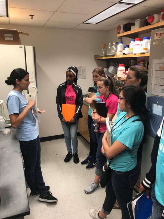 Biology Club provides college, career opportunities for students interested in science