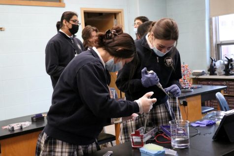 Seniors Cheri Michalek and Addison Cipowski work together on a lab in their DC biology class.